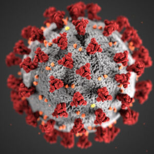 Corona Virus Model
